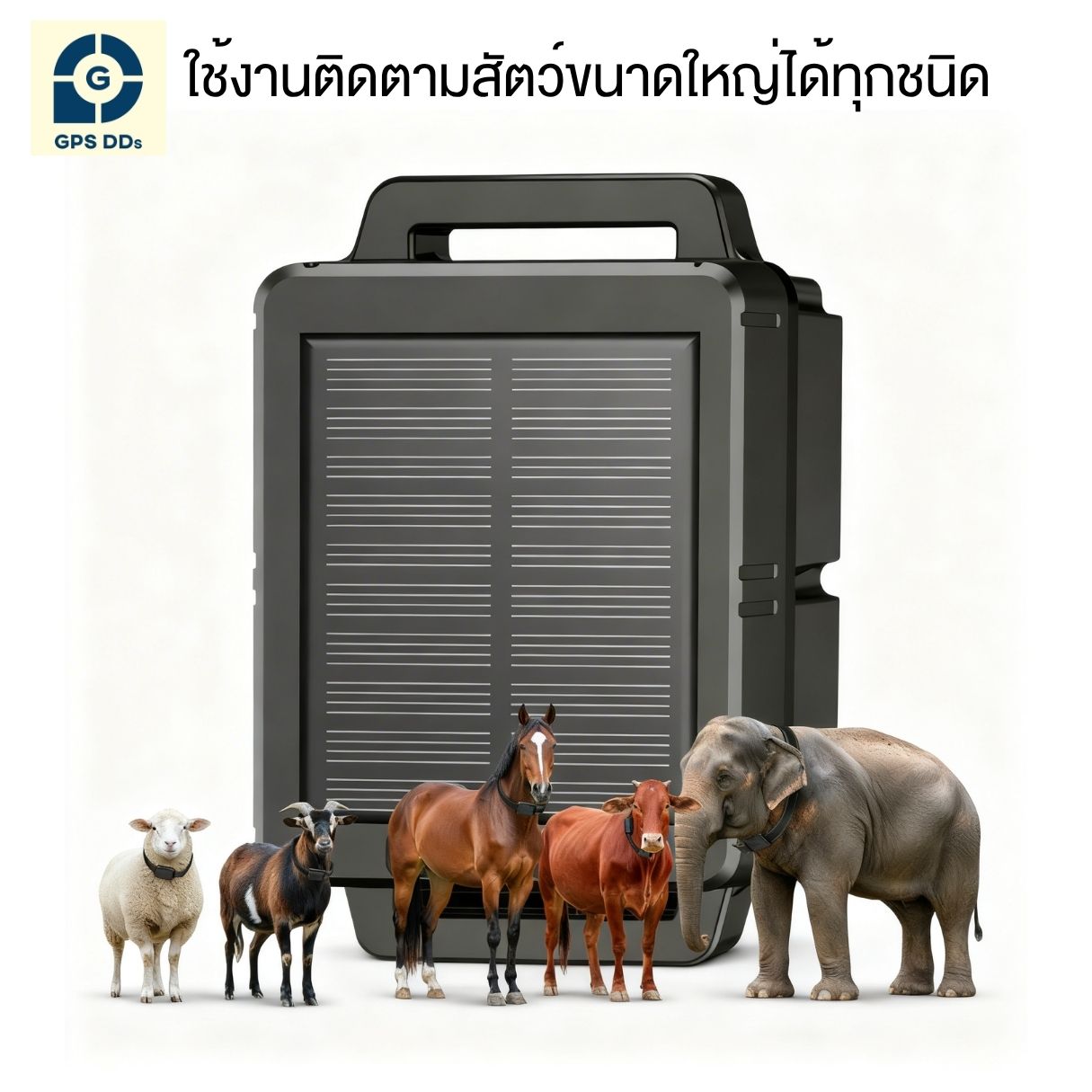 GPS สัตว์ใหญ่ GCOW โซล่าร์เซลล์ กันน้ำ IP67