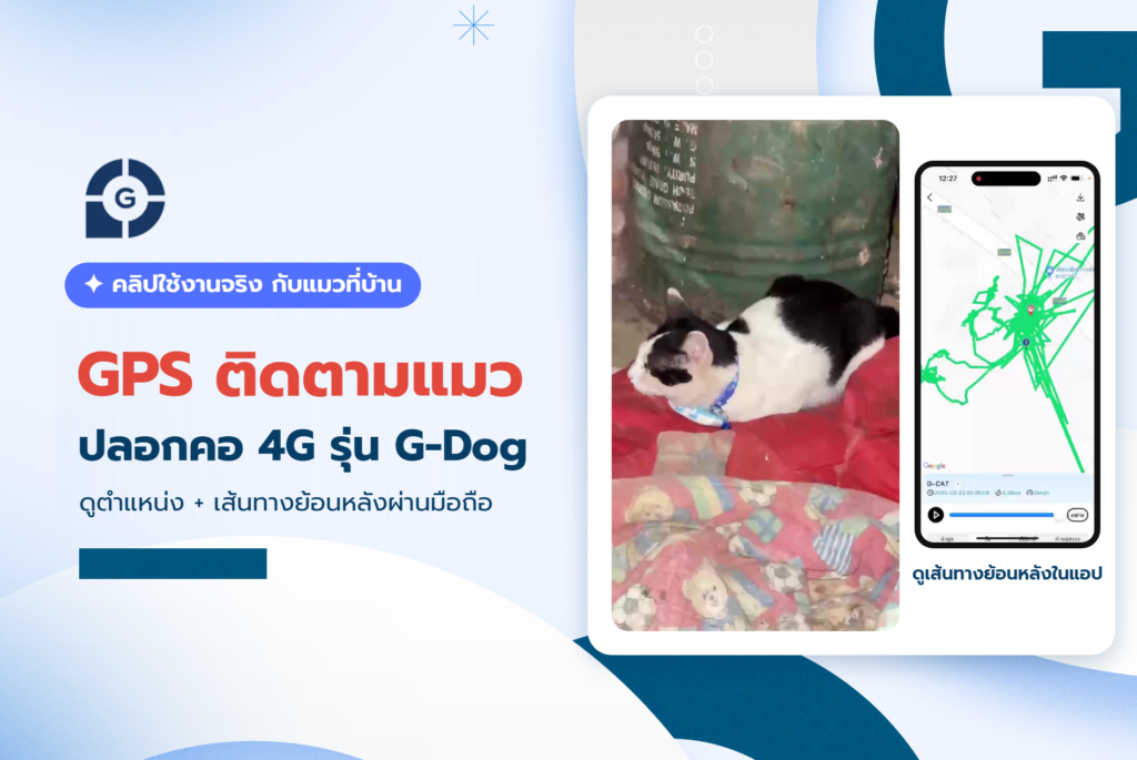 gps ติดตามแมว G-Dog